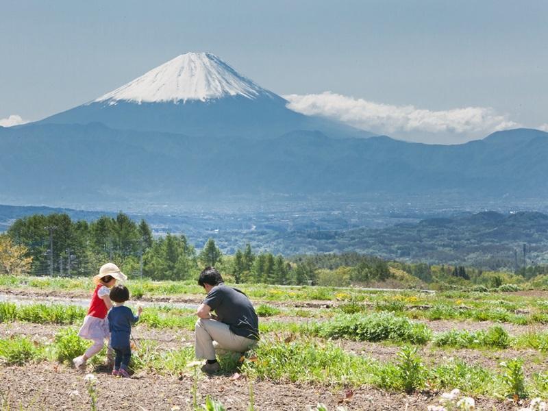 Izumigo Ambient Yatsugatake Cottage Hokuto  Esterno foto
